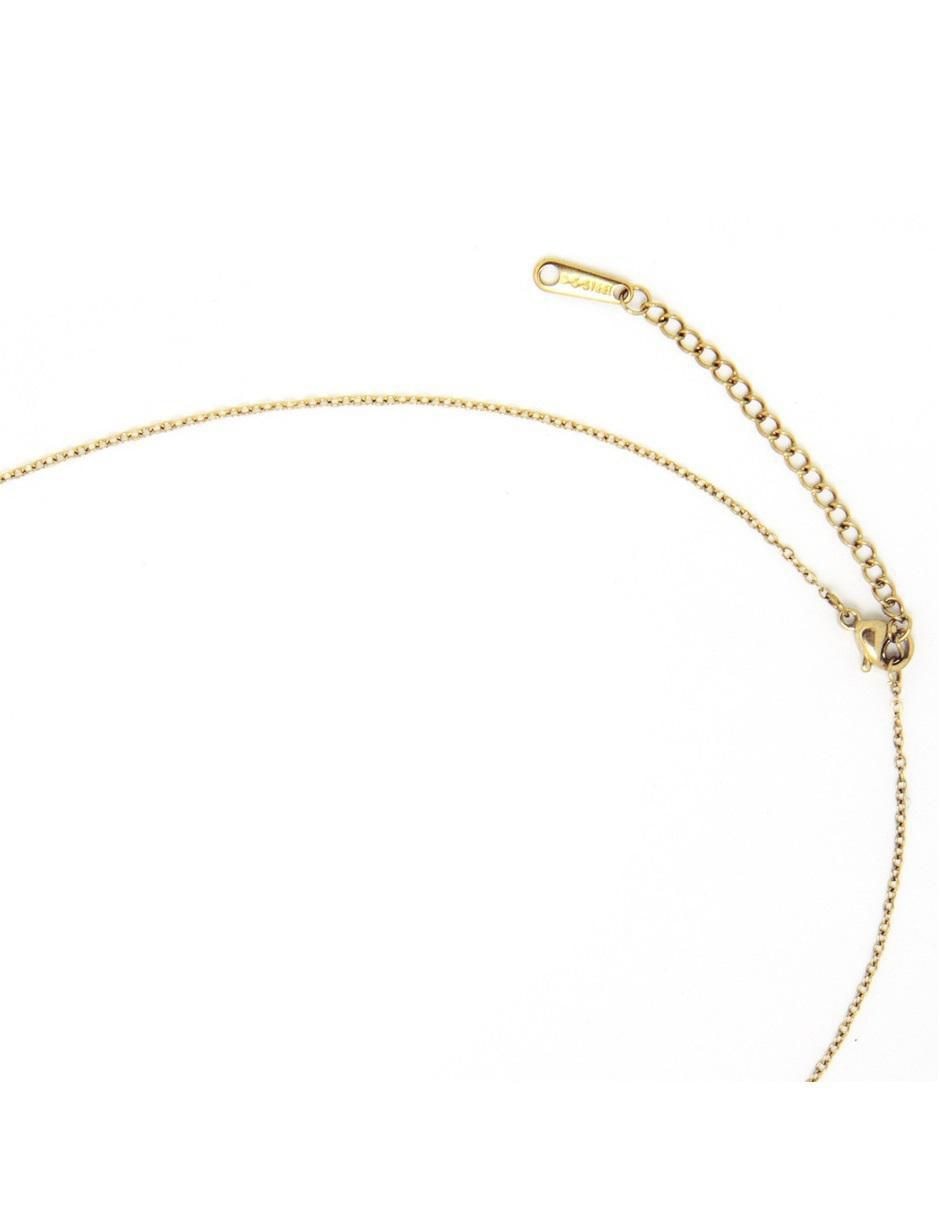 Collar de árbol 4
